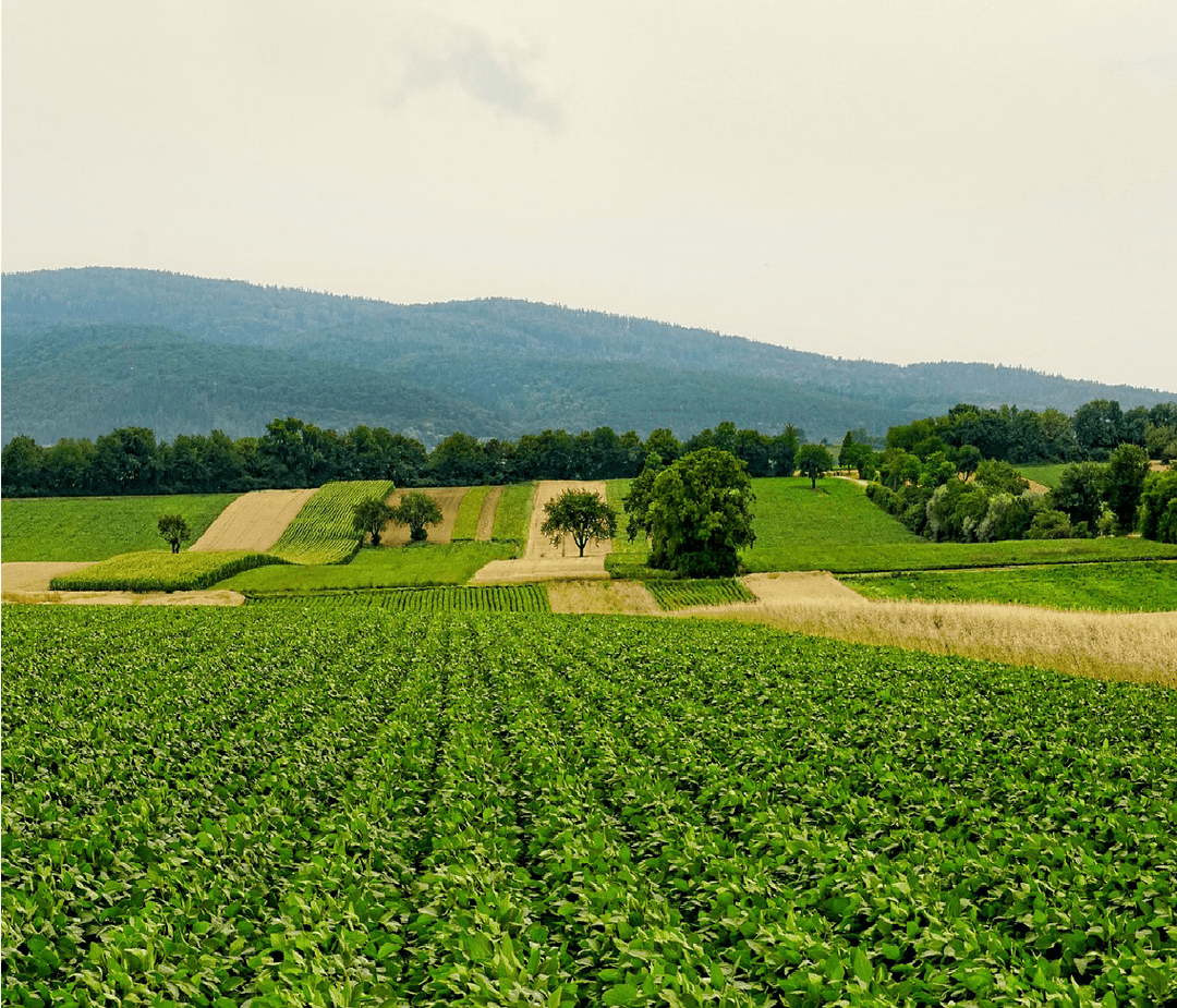 Agricole